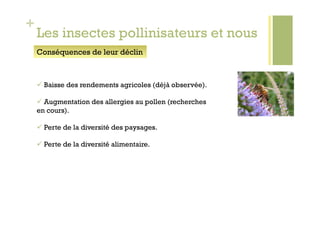 +
    Les insectes pollinisateurs et nous
    Conséquences de leur déclin



      Baisse des rendements agricoles (déjà observée).

      Augmentation des allergies au pollen (recherches
    en cours).

      Perte de la diversité des paysages.

      Perte de la diversité alimentaire.
 