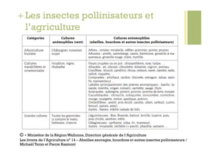 + Les insectes pollinisateurs et
  l’agriculture




© - Ministère de la Région Wallonne, Direction générale de l’Agriculture
Les livrets de l’Agriculture n° 14 – Abeilles sauvages, bourdons et autres insectes pollinisateurs /
Michaël Terzo et Pierre Rasmont
 
