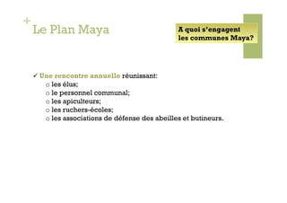 +
    Le Plan Maya                                 A quoi s’engagent
                                                 les communes Maya?




      Une rencontre annuelle réunissant:
       o  les élus;
       o  le personnel communal;
       o  les apiculteurs;
       o  les ruchers-écoles;
       o  les associations de défense des abeilles et butineurs.
 
