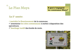 +
    Le Plan Maya                               A quoi s’engagent
                                               les communes Maya?


    La 2° année:

     enrichir le fleurissement de la commune;
      inventorier les sites communaux à mettre à disposition des
    apiculteurs;
      fauchage tardif des bords de route.
 