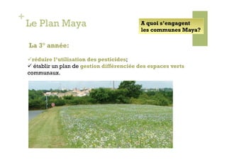 +
    Le Plan Maya                               A quoi s’engagent
                                               les communes Maya?

    La 3° année:       

     réduire l’utilisation des pesticides;
      établir un plan de gestion différenciée des espaces verts
    communaux.
 
