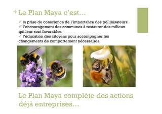 + Le Plan Maya c’est…
   la prise de conscience de l’importance des pollinisateurs.
   l’encouragement des communes à restaurer des milieux
 qui leur sont favorables.
   l’éducation des citoyens pour accompagner les
 changements de comportement nécessaires.




 Le Plan Maya complète des actions
 déjà entreprises…
 