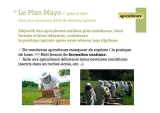 + Le Plan Maya - plan d’aide                            apiculteurs
  face aux nouveaux défis du secteur apicole

  Objectif: des apiculteurs wallons plus nombreux, bien
  formés et bien informés, continuant
  la pratique apicole après avoir obtenu leur diplôme.

    De nombreux apiculteurs manquent de repères / la pratique
  de base. => Réel besoin de formation continue.
    Aide aux apiculteurs débutants (sous certaines conditions:
  inscrits dans un rucher-école, etc…)
 