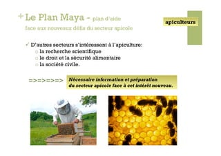 + Le Plan Maya - plan d’aide                                  apiculteurs
  face aux nouveaux défis du secteur apicole


    D’autres secteurs s’intéressent à l’apiculture:
      o  la recherche scientifique
      o  le droit et la sécurité alimentaire
      o  la société civile.


   =>=>=>=>         Nécessaire information et préparation
                    du secteur apicole face à cet intérêt nouveau.
 