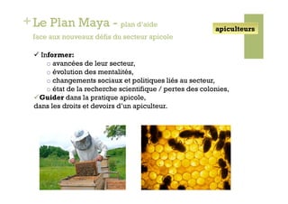 + Le Plan Maya - plan d’aide                                 apiculteurs
  face aux nouveaux défis du secteur apicole

    Informer:
       o  avancées de leur secteur,
       o  évolution des mentalités,
       o  changements sociaux et politiques liés au secteur,
       o  état de la recherche scientifique / pertes des colonies,
   Guider dans la pratique apicole,
  dans les droits et devoirs d’un apiculteur.
 