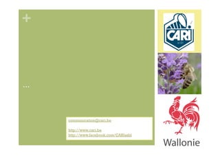 +



…


    Agnès Fayet
    communication@cari.be

    http://www.cari.be
    http://www.facebook.com/CARIasbl
 