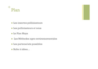 +
    Plan

        Les insectes pollinisateurs

        Les pollinisateurs et nous

        Le Plan Maya

        Les Méthodes agro-environnementales

        Les partenariats possibles

        Boîte à idées…
 