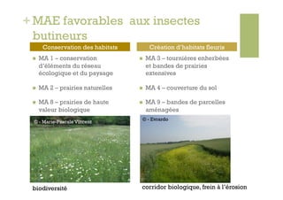 + MAE favorables aux insectes
  butineurs
       Conservation des habitats         Création d’habitats fleuris
     MA 1 – conservation              MA 3 – tournières enherbées
      d’éléments du réseau              et bandes de prairies
      écologique et du paysage          extensives

     MA 2 – prairies naturelles       MA 4 – couverture du sol

     MA 8 – prairies de haute         MA 9 – bandes de parcelles
      valeur biologique                 aménagées
                                    © - Evrardo
 © - Marie-Pascale Vincent




 biodiversité                       corridor biologique, frein à l’érosion
 