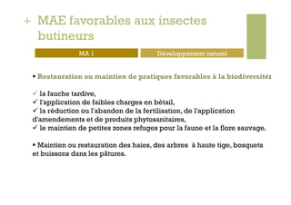 + MAE favorables aux insectes
  butineurs
               MA 1                     Développement naturel


   Restauration ou maintien de pratiques favorables à la biodiversité:

   la fauche tardive,
   l'application de faibles charges en bétail,
   la réduction ou l'abandon de la fertilisation, de l'application
 d'amendements et de produits phytosanitaires,
   le maintien de petites zones refuges pour la faune et la flore sauvage.

   Maintien ou restauration des haies, des arbres à haute tige, bosquets
 et buissons dans les pâtures.
 