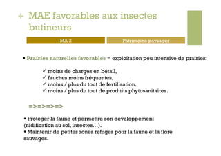 + MAE favorables aux insectes
  butineurs
                MA 2                      Patrimoine paysager


   Prairies naturelles favorables = exploitation peu intensive de prairies:

          moins de charges en bétail,
          fauches moins fréquentes,
          moins / plus du tout de fertilisation.
          moins / plus du tout de produits phytosanitaires.

   =>=>=>=>
   Protéger la faune et permettre son développement
 (nidification au sol, insectes…).
   Maintenir de petites zones refuges pour la faune et la flore
 sauvages.
 