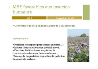 + MAE favorables aux insectes
  butineurs
               MA 4                        Couverture du sol


    Couverture du sol pendant la période d’interculture.




  =>=>=>=>
    Protéger les nappes phréatiques (nitrates…).
    Limiter l'impact direct des précipitations.
    Favoriser l'infiltration et empêcher la
  concentration des eaux, le ruissellement,
  l'érosion, la dégradation des sols et la pollution
  des eaux de surface.
 