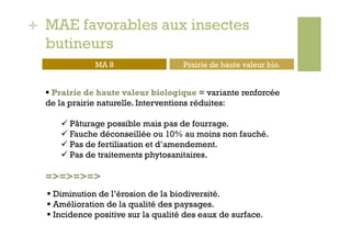 + MAE favorables aux insectes
  butineurs
              MA 8                    Prairie de haute valeur bio.


    Prairie de haute valeur biologique = variante renforcée
  de la prairie naturelle. Interventions réduites:

       Pâturage possible mais pas de fourrage.
       Fauche déconseillée ou 10% au moins non fauché.
       Pas de fertilisation et d’amendement.
       Pas de traitements phytosanitaires.

  =>=>=>=>
    Diminution de l’érosion de la biodiversité.
    Amélioration de la qualité des paysages.
    Incidence positive sur la qualité des eaux de surface.
 