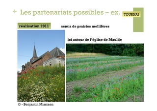 + Les partenariats possibles – ex.                             TOURNAI


  réalisation 2011       semis de prairies mellifères


                            ici autour de l’église de Maulde




 © - Benjamin Missiaen
 