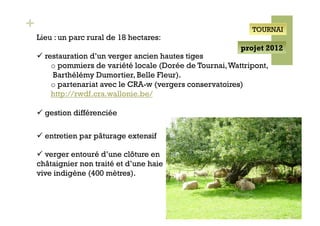 +                                                               TOURNAI
    Lieu : un parc rural de 18 hectares:
                                                             projet 2012
      restauration d’un verger ancien hautes tiges
         o  pommiers de variété locale (Dorée de Tournai, Wattripont,
         Barthélémy Dumortier, Belle Fleur).
         o  partenariat avec le CRA-w (vergers conservatoires)
         http://rwdf.cra.wallonie.be/

      gestion différenciée

      entretien par pâturage extensif

      verger entouré d’une clôture en
    châtaignier non traité et d’une haie
    vive indigène (400 mètres).
 