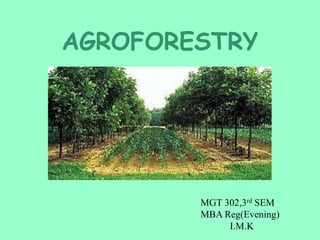 AGROFORESTRY
MGT 302,3rd SEM
MBA Reg(Evening)
I.M.K
 