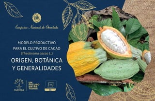 MODELO PRODUCTIVO
PARA EL CULTIVO DE CACAO
(Theobroma cacao L.)
ORIGEN, BOTÁNICA
Y GENERALIDADES
 