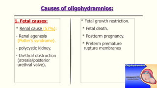 Causes of oligohydramnios:
1. Fetal causes:
* Renal cause (57%):
- Renal agenesis
(Potter’s syndrome).
- polycystic kidney.
- Urethral obstruction
(atresia/posterior
urethral valve).
* Fetal growth restriction.
* Fetal death.
* Postterm pregnancy.
* Preterm premature
rupture membranes
 