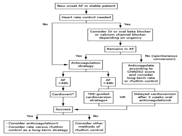 Sotalol Vs Metoprolol For Ventricular Rate Control