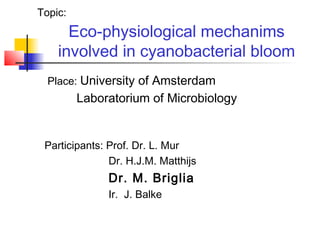 Eco-physiological mechanims
involved in cyanobacterial bloom
Place: University of Amsterdam
Laboratorium of Microbiology
Participants: Prof. Dr. L. Mur
Dr. H.J.M. Matthijs
Dr. M. Briglia
Ir. J. Balke
Topic:
 