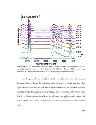 Figure 34: EC-SERS cathodic signal of DMPC / cholesterol (70:30) bilayer on a AgNP
electrode modified with a 6-MHA SAM in 0.1 M NaF solution. The spectra were
measured at 4 mW for a time interval of 30 seconds using 532 nm excitation.
As the potential was stepped anodically it is clear that the peak intensity
decreased, shown in Figure 35, an indication that the system is mostly reversible. The
signal observed indicates that the bilayer lipid membrane is not desorbed from the
electrode surface after applying positive voltage. This is consistent with previous work
done in our laboratory where the s-BLMs are still intact after application of a voltage. As
a result of these observations, only the cathodic data will be focused on in this research
work.
109
 