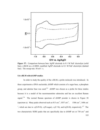 Figure 37: Comparison between bare AgNP electrode in 0.1 M NaF electrolyte (solid
line), s-BLM on a 6-MHA modified AgNP electrode in 0.1 M NaF electrolyte (dashed
line). The sweep rate: 50 mV / s.
5.4 s-BLM with dAMP studies
In order to study the quality of the s-BLM, a probe molecule was introduced. In
these experiments a DNA nucleotide, dAMP which consists of a sugar base, a phosphate
group, and adenine base was used.221
dAMP was chosen as a probe for these studies
because it is a model of the neurotransmitter adenosine and has an excellent Raman
signal.176
The normal Raman spectrum of dAMP powder is shown in Figure 38
(spectrum a). Many peaks observed such as 813 cm-1
, 1037 cm-1
, 1506 cm-1
, 1406 cm-
1
, which are due to vs(O-P-O), vs(N-sugar), vs(C=N), and δd(N-H), respectively.127
The
two characteristic SERS peaks that are specifically due to dAMP are at 730 cm-1
and
113
 