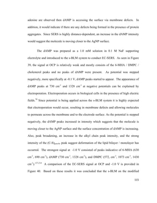adenine are observed then dAMP is accessing the surface via membrane defects. In
addition, it would indicate if there are any defects being formed in the presence of protein
aggregates. Since SERS is highly distance-dependent, an increase in the dAMP intensity
would suggest the molecule is moving closer to the AgNP surface.
The dAMP was prepared as a 1.0 mM solution in 0.1 M NaF supporting
electrolyte and introduced to the s-BLM system to conduct EC-SERS. As seen in Figure
39, the signal at OCP is relatively weak and mostly consists of the 6-MHA / DMPC /
cholesterol peaks and no peaks of dAMP were present. As potential was stepped
negatively, more specifically at -0.1 V, dAMP peaks started to appear. The appearance of
dAMP peaks at 730 cm-1
and 1328 cm-1
at negative potentials can be explained by
electroporation. Electroporation occurs in biological cells in the presence of high electric
fields.70
Since potential is being applied across the s-BLM system it is highly expected
that electroporation would occur, resulting in membrane defects and allowing molecules
to permeate across the membrane and to the electrode surface. As the potential is stepped
negatively, the dAMP peaks increased in intensity which suggests that the molecule is
moving closer to the AgNP surface and the surface concentration of dAMP is increasing.
Also, peak broadening, an increase in the alkyl chain peak intensity, and the strong
intensity of the (C-S)gauche peak suggest deformation of the lipid bilayer / monolayer has
occurred. The strongest signal at -1.0 V consisted of peaks indicative of 6-MHA (630
cm-1
, 690 cm-1
), dAMP (730 cm-1
, 1328 cm-1
), and DMPC (572, cm-1
, 1073 cm-1
, 1430
cm-1
).127,214
A comparison of the EC-SERS signal at OCP and -1.0 V is provided in
Figure 40. Based on these results it was concluded that the s-BLM on the modified
115
 