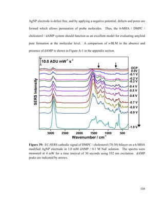 AgNP electrode is defect free, and by applying a negative potential, defects and pores are
formed which allows permeation of probe molecules. Thus, the 6-MHA / DMPC /
cholesterol / dAMP system should function as an excellent model for evaluating amyloid
pore formation at the molecular level. A comparison of s-BLM in the absence and
presence of dAMP is shown in Figure A-1 in the appendix section.
Figure 39: EC-SERS cathodic signal of DMPC / cholesterol (70:30) bilayer on a 6-MHA
modified AgNP electrode in 1.0 mM dAMP / 0.1 M NaF solution. The spectra were
measured at 4 mW for a time interval of 30 seconds using 532 nm excitation. dAMP
peaks are indicated by arrows.
116
 