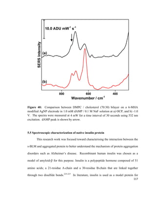 Figure 40: Comparison between DMPC / cholesterol (70:30) bilayer on a 6-MHA
modified AgNP electrode in 1.0 mM dAMP / 0.1 M NaF solution at a) OCP, and b) -1.0
V. The spectra were measured at 4 mW for a time interval of 30 seconds using 532 nm
excitation. dAMP peak is shown by arrow.
5.5 Spectroscopic characterization of native insulin protein
This research work was focused toward characterising the interaction between the
s-BLM and aggregated protein to better understand the mechanism of protein aggregation
disorders such as Alzheimer’s disease. Recombinant human insulin was chosen as a
model of amyloid-β for this purpose. Insulin is a polypeptide hormone composed of 51
amino acids; a 21-residue A-chain and a 30-residue B-chain that are linked together
through two disulfide bonds.225-227
In literature, insulin is used as a model protein for
117
 