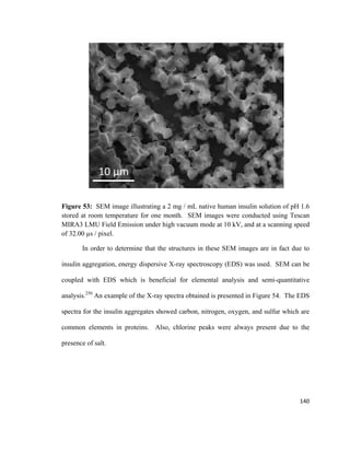 Figure 53: SEM image illustrating a 2 mg / mL native human insulin solution of pH 1.6
stored at room temperature for one month. SEM images were conducted using Tescan
MIRA3 LMU Field Emission under high vacuum mode at 10 kV, and at a scanning speed
of 32.00 µs / pixel.
In order to determine that the structures in these SEM images are in fact due to
insulin aggregation, energy dispersive X-ray spectroscopy (EDS) was used. SEM can be
coupled with EDS which is beneficial for elemental analysis and semi-quantitative
analysis.250
An example of the X-ray spectra obtained is presented in Figure 54. The EDS
spectra for the insulin aggregates showed carbon, nitrogen, oxygen, and sulfur which are
common elements in proteins. Also, chlorine peaks were always present due to the
presence of salt.
140
 