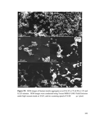 Figure 55: SEM images of human insulin aggregates at a) 0 b) 45 c) 75 d) 90 e) 135 and
f) 225 minutes. SEM images were conducted using Tescan MIRA3 LMU Field Emission
under high vacuum mode at 10 kV, and at a scanning speed of 32.00 µs / pixel.
143
 