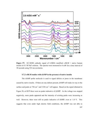 Figure 57: EC-SERS cathodic signal of 6-MHA modified s-BLM + native human
insulin in 0.1 M NaF solution. The spectra were measured at 4 mW for a time interval of
30 seconds using 532 nm excitation.
5.7.2 s-BLM studies with dAMP in the presence of native insulin
The dAMP probe molecule is used to signal defects or pores in the membrane
caused by native insulin. If there are any defects present, dAMP will make its way to the
surface and peaks at 730 cm-1
and 1328 cm-1
will appear. Based on the signal obtained in
Figure 58, at OCP there were no peaks indicative of dAMP. As the voltage was stepped
negatively, more peaks appeared and the intensity of existing peaks were increasing as
well. However, there were still no peaks indicative of dAMP, even at -1.0 V. This
suggests that even under high electric field conditions, the dAMP was not able to
147
 