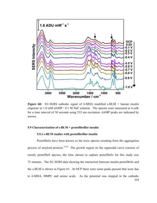Figure 60: EC-SERS cathodic signal of 6-MHA modified s-BLM + human insulin
oligomer in 1.0 mM dAMP / 0.1 M NaF solution. The spectra were measured at 4 mW
for a time interval of 30 seconds using 532 nm excitation. dAMP peaks are indicated by
arrows.
5.9 Characterization of s-BLM + protofibrillar insulin
5.9.1 s-BLM studies with protofibrillar insulin
Protofibrils have been known as the toxic species resulting from the aggregation
process of amyloid proteins.53,54
The growth region on the sigmoidal curve consists of
mostly protofibril species; the time chosen to capture protofibrils for this study was
75 minutes. The EC-SERS data showing the interaction between insulin protofibrils and
the s-BLM is shown in Figure 61. At OCP there were some peaks present that were due
to 6-MHA, DMPC and amino acids. As the potential was stepped in the cathodic
153
 