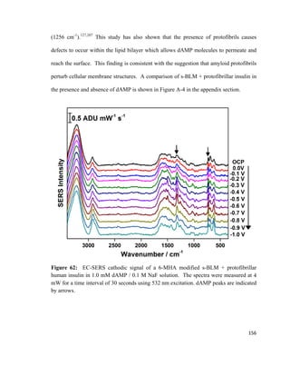 (1256 cm-1
).127,207
This study has also shown that the presence of protofibrils causes
defects to occur within the lipid bilayer which allows dAMP molecules to permeate and
reach the surface. This finding is consistent with the suggestion that amyloid protofibrils
perturb cellular membrane structures. A comparison of s-BLM + protofibrillar insulin in
the presence and absence of dAMP is shown in Figure A-4 in the appendix section.
Figure 62: EC-SERS cathodic signal of a 6-MHA modified s-BLM + protofibrillar
human insulin in 1.0 mM dAMP / 0.1 M NaF solution. The spectra were measured at 4
mW for a time interval of 30 seconds using 532 nm excitation. dAMP peaks are indicated
by arrows.
156
 