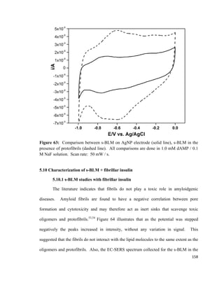 Figure 63: Comparison between s-BLM on AgNP electrode (solid line), s-BLM in the
presence of protofibrils (dashed line). All comparisons are done in 1.0 mM dAMP / 0.1
M NaF solution. Scan rate: 50 mW / s.
5.10 Characterization of s-BLM + fibrillar insulin
5.10.1 s-BLM studies with fibrillar insulin
The literature indicates that fibrils do not play a toxic role in amyloidgenic
diseases. Amyloid fibrils are found to have a negative correlation between pore
formation and cytotoxicity and may therefore act as inert sinks that scavenge toxic
oligomers and protofibrils.53,54
Figure 64 illustrates that as the potential was stepped
negatively the peaks increased in intensity, without any variation in signal. This
suggested that the fibrils do not interact with the lipid molecules to the same extent as the
oligomers and protofibrils. Also, the EC-SERS spectrum collected for the s-BLM in the
158
 