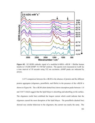 Figure 65: EC-SERS cathodic signal of a modified 6-MHA s-BLM + fibrillar human
insulin in 1.0 mM dAMP / 0.1 M NaF solution. The spectra were measured at 4 mW for
a time interval of 30 seconds using 532 nm excitation. dAMP peaks are indicated by
arrows.
A CV comparison between the s-BLM in the absence of protein and the different
protein aggregates (oligomers, protofibrils, and fibrils) in the presence of the s-BLM is
shown in Figure 66. The s-BLM (short dotted line) shows desorption peaks between -1.0
and -0.8 V which suggest that the lipid bilayer is desorbing and adsorbing on the surface.
The oligomers (solid line) exhibited the largest current which could indicate that the
oligomers caused the most disruption of the lipid bilayer. The protofibrils (dashed line)
showed very similar behaviour to the oligomers; the current was nearly the same. The
161
 