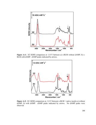 Figure A-1: EC-SERS comparison at -1.0 V between a) s-BLM without dAMP, b) s-
BLM with dAMP. dAMP peaks indicated by arrows.
Figure A-2: EC-SERS comparison at -1.0 V between s-BLM + native insulin a) without
dAMP, b) with dAMP. dAMP peaks indicated by arrows. No dAMP peaks were
observed.
190
 