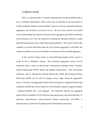 1.2 Objective of thesis
There is a growing body of evidence indicating that amyloid protofibrils play a
role in membrane deterioration which would cause an alteration in the homeostasis of
cellular membranes thereby causing cell death. However, the exact mechanism of protein
aggregation and cell death is not clear as of yet. The aim of this research was focused
toward understanding the interaction between protein aggregates and cellular membranes
at the molecular level. This was achieved by studying the interaction between a model
amyloid-forming protein and a model bilayer lipid membrane. This system will have the
capability to provide information about the role of protein aggregates in cell death, and
whether any defects or pores are formed due to the presence of these peptide aggregates.
In this research, human insulin, an amyloid-forming peptide will be used as a
model of Aβ in Alzheimer’s disease. The accelerated aggregation process will be
monitored using a variety of spectroscopic measurements including Fourier transform
infrared spectroscopy (FTIR), Raman and turbidity measurements. Also, microscopic
techniques such as Transmission Electron Microscopy (TEM) and Scanning Electron
Microscopy (SEM) will be used for imaging various stages during the aggregation
process. The native and aggregated insulin will be introduced to a supported bilayer lipid
membrane (s-BLM) that will be formed on a solid substrate using the Langmuir-Blodgett
/ Langmuir-Schaefer (LB / LS) technique. The interaction between the aggregated
protein and the membrane will be followed using spectroscopy and electrochemistry. In
particular, electrochemical surface-enhanced Raman spectroscopy (EC-SERS) is
demonstrated as a useful tool for probing protein-biomembrane interactions.
5
 