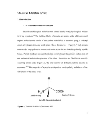 Chapter 2: Literature Review
2.1 Introduction
2.1.1 Protein structure and function
Proteins are biological molecules that control nearly every physiological process
in living organisms.19
The building blocks of proteins are amino acids, which are small
organic molecules that consist of an α-carbon atom linked to an amino group, a carboxyl
group, a hydrogen atom, and a side chain (R), as depicted in Figure 1.19
Each protein
consists of a large polymeric sequence of amino acids that are linked together by peptide
bonds. Peptide bonds are covalent bonds that occur between the carbonyl carbon atom of
one amino acid and the nitrogen atom of the other. Since there are 20 different naturally
occurring amino acids (Figure 2), the total number of different proteins possible is
enormous.19,20
The properties of a protein are dependent on the polarity and charge of the
side chains of the amino acids.
Figure 1: General structure of an amino acid.
7
 