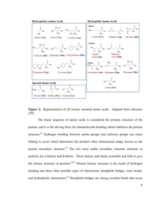 Figure 2: Representation of all twenty essential amino acids. Adapted from reference
[20].
The linear sequence of amino acids is considered the primary structure of the
protein, and it is the driving force for intramolecular bonding which stabilizes the protein
structure.20
Hydrogen bonding between amino groups and carboxyl groups can cause
folding to occur which determines the protein's three dimensional shape, known as the
protein secondary structure.20
The two most stable secondary structure elements in
proteins are α-helices and β-sheets. These helices and sheets assemble and fold to give
the tertiary structure of proteins.20,21
Protein tertiary structure is the result of hydrogen
bonding and three other possible types of interactions: disulphide bridges, ionic bonds,
and hydrophobic interactions.22
Disulphide bridges are strong covalent bonds that occur
8
 