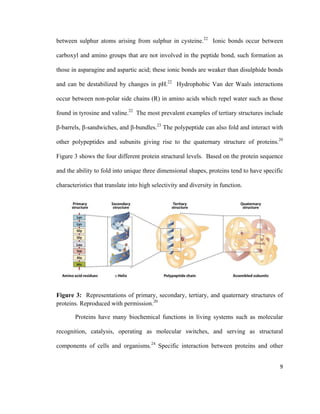 between sulphur atoms arising from sulphur in cysteine.22
Ionic bonds occur between
carboxyl and amino groups that are not involved in the peptide bond, such formation as
those in asparagine and aspartic acid; these ionic bonds are weaker than disulphide bonds
and can be destabilized by changes in pH.22
Hydrophobic Van der Waals interactions
occur between non-polar side chains (R) in amino acids which repel water such as those
found in tyrosine and valine.22
The most prevalent examples of tertiary structures include
β-barrels, β-sandwiches, and β-bundles.23
The polypeptide can also fold and interact with
other polypeptides and subunits giving rise to the quaternary structure of proteins.20
Figure 3 shows the four different protein structural levels. Based on the protein sequence
and the ability to fold into unique three dimensional shapes, proteins tend to have specific
characteristics that translate into high selectivity and diversity in function.
Figure 3: Representations of primary, secondary, tertiary, and quaternary structures of
proteins. Reproduced with permission.20
Proteins have many biochemical functions in living systems such as molecular
recognition, catalysis, operating as molecular switches, and serving as structural
components of cells and organisms.24
Specific interaction between proteins and other
9
 