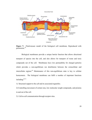 Figure 7: Fluid-mosaic model of the biological cell membrane. Reproduced with
permission.70
Biological membranes provide a unique barrier function that allows directional
transport of species into the cell, and also allows for transport of waste and toxic
compounds out of the cell. Membranes have low permeability for charged particles
which provides a non-equilibrium ion distribution between the extracellular and
intercellular regions.65
Maintenance of this non-equilibrium state is key to cellular
homeostasis. The biological membrane can fulfil a number of important functions
including:65,71
1) Structural support to the cell and its associated organelles.
2) Controlling movement of certain ions, low molecular weight compounds, and proteins
in and out of the cell.
3) Cell-to-cell communication through receptor sites.
24
 