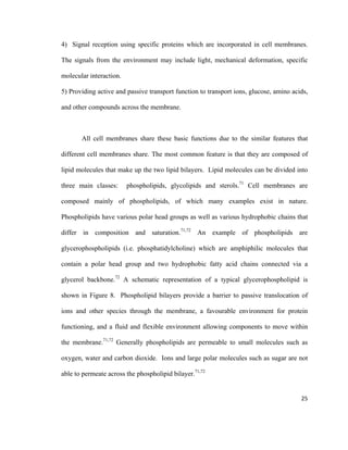 4) Signal reception using specific proteins which are incorporated in cell membranes.
The signals from the environment may include light, mechanical deformation, specific
molecular interaction.
5) Providing active and passive transport function to transport ions, glucose, amino acids,
and other compounds across the membrane.
All cell membranes share these basic functions due to the similar features that
different cell membranes share. The most common feature is that they are composed of
lipid molecules that make up the two lipid bilayers. Lipid molecules can be divided into
three main classes: phospholipids, glycolipids and sterols.71
Cell membranes are
composed mainly of phospholipids, of which many examples exist in nature.
Phospholipids have various polar head groups as well as various hydrophobic chains that
differ in composition and saturation.71,72
An example of phospholipids are
glycerophospholipids (i.e. phosphatidylcholine) which are amphiphilic molecules that
contain a polar head group and two hydrophobic fatty acid chains connected via a
glycerol backbone.72
A schematic representation of a typical glycerophospholipid is
shown in Figure 8. Phospholipid bilayers provide a barrier to passive translocation of
ions and other species through the membrane, a favourable environment for protein
functioning, and a fluid and flexible environment allowing components to move within
the membrane.71,72
Generally phospholipids are permeable to small molecules such as
oxygen, water and carbon dioxide. Ions and large polar molecules such as sugar are not
able to permeate across the phospholipid bilayer.71,72
25
 