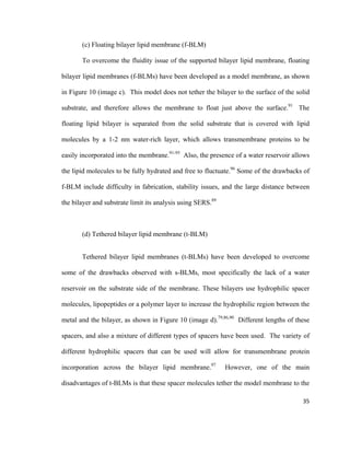 (c) Floating bilayer lipid membrane (f-BLM)
To overcome the fluidity issue of the supported bilayer lipid membrane, floating
bilayer lipid membranes (f-BLMs) have been developed as a model membrane, as shown
in Figure 10 (image c). This model does not tether the bilayer to the surface of the solid
substrate, and therefore allows the membrane to float just above the surface.91
The
floating lipid bilayer is separated from the solid substrate that is covered with lipid
molecules by a 1-2 nm water-rich layer, which allows transmembrane proteins to be
easily incorporated into the membrane.91-95
Also, the presence of a water reservoir allows
the lipid molecules to be fully hydrated and free to fluctuate.96
Some of the drawbacks of
f-BLM include difficulty in fabrication, stability issues, and the large distance between
the bilayer and substrate limit its analysis using SERS.89
(d) Tethered bilayer lipid membrane (t-BLM)
Tethered bilayer lipid membranes (t-BLMs) have been developed to overcome
some of the drawbacks observed with s-BLMs, most specifically the lack of a water
reservoir on the substrate side of the membrane. These bilayers use hydrophilic spacer
molecules, lipopeptides or a polymer layer to increase the hydrophilic region between the
metal and the bilayer, as shown in Figure 10 (image d).79,86,90
Different lengths of these
spacers, and also a mixture of different types of spacers have been used. The variety of
different hydrophilic spacers that can be used will allow for transmembrane protein
incorporation across the bilayer lipid membrane.97
However, one of the main
disadvantages of t-BLMs is that these spacer molecules tether the model membrane to the
35
 
