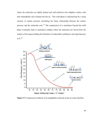 where the molecules are tightly packed and well-ordered at the subphase surface with
their hydrophobic tails oriented into the air. This solid phase is characterized by a steep
increase in surface pressure, describing the linear relationship between the surface
pressure and the molecular area.113
The compression of a monolayer beyond the solid
phase eventually leads to monolayer collapse where the molecules are forced from the
surface of the liquid yielding the formation of undesirable multilayers and rapid decrease
in Π .68
Figure 17: Compression isotherm of an amphiphilic molecule at the air-water interface.
58
 