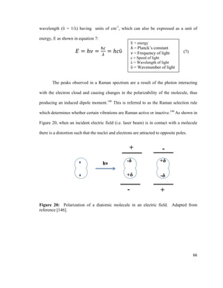 wavelength (ῡ = 1/λ) having units of cm-1
, which can also be expressed as a unit of
energy, E as shown in equation 7:
𝐸𝐸 = ℎ𝜈𝜈 =
ℎ𝑐𝑐
𝜆𝜆
= ℎ𝑐𝑐ῡ (7)
The peaks observed in a Raman spectrum are a result of the photon interacting
with the electron cloud and causing changes in the polarizability of the molecule, thus
producing an induced dipole moment.146
This is referred to as the Raman selection rule
which determines whether certain vibrations are Raman active or inactive.146
As shown in
Figure 20, when an incident electric field (i.e. laser beam) is in contact with a molecule
there is a distortion such that the nuclei and electrons are attracted to opposite poles.
Figure 20: Polarization of a diatomic molecule in an electric field. Adapted from
reference [146].
E = energy
ℎ = Planck’s constant
𝜈𝜈 = Frequency of light
c = Speed of light
λ = Wavelength of light
ῡ = Wavenumber of light
66
 
