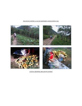 PALAWAN COFFEE & CACAO GROWERS ASSOCIATION, INC.
COCOA GROWER, UPLAND PLANTING
 