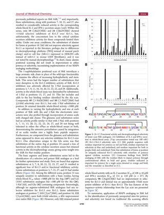 previously published reports on ShK SAR,7,16
and, importantly,
these substitutions, along with positions 7, 10, 21, and 27, also
resulted in considerably reduced activity in the corresponding
whole-blood IL-2 and IFN-γ secretion assays (red). Within this
series, only 19 ([Ala23]ShK) and 24 ([Ala29]ShK) showed
>5-fold selective inhibition of Kv1.3 over Kv1.1, but,
unfortunately, the concomitant loss in the critical cytokine
secretion inhibitory activity for these compounds limited their
utility. Under our assay conditions, the substitution of alanine
for lysine at position 18 (14) did not improve selectivity against
Kv1.1 as reported in the literature, perhaps due to diﬀerences
in electrophysiology platform (IWQ instead of manual patch
clamp) and/or cell line (hKv1.1 expressed in HEK293 cells
instead of mKv1.1 in mouse L929 ﬁbroblasts), and it was
not tested by manual electrophysiology.20
In short, classic alanine
positional scanning did not result in improvement in either
potency or selectivity, necessitating implementation of our MAPS
analoging methodology.
The 1-naphthylalanine positional scan of ShK introduces a
large aromatic side chain in place of the wild-type functionality
to examine the eﬀects of increasing hydrophobicity and steric
bulk. This series had the largest number of substitutions that
were disruptive to the Kv1.3 inhibitory activity of ShK. Kv1.3
inhibition was adversely aﬀected by 1-Nal incorporation at
positions 5, 7, 9, 11, 16, 18, 20, 21, 22, 23, and 29. Additionally,
activity in the whole-blood assay was diminished by substitution
of 1-Nal at positions 13, 27, and 33. This list includes and
adds to the key binding residues identiﬁed by the Ala scan.
Compounds 49 ([1-Nal26]ShK) and 50 ([1-Nal27]ShK) had
≥5-fold selectivity over Kv1.1, but only 1-Nal substitution at
position 26 retained desirable whole-blood activity <1000 pM.
In addition to varying the hydrophobicity and size at each
position of ShK with Ala and 1-Nal, the electrostatic inter-
actions were also probed through incorporation of amino acids
with charged side chains. The glutamic acid substitution series
had an activity proﬁle similar to that with 1-Nal, with positions
5, 7, 11, 13, 20, 21, 22, 23, 24, 27, and 29 not being well
tolerated in either the ePhys or whole-blood assays or both,
demonstrating the extensive perturbation caused by integration
of an acidic residue into a highly basic peptide sequence.
Furthermore, no compound from the glutamic acid substitution
series appeared to show any selective inhibition for Kv1.3 over
Kv1.1. One observation unique to the Glu series was that
substitution of the native Arg at position 24 caused a loss of
functional activity in the cytokine secretion assays but retained
activity in the electrophysiology assays, giving some insight into
the SAR for that residue position.
The basic arginine and lysine substitution series led to the
identiﬁcation of a selective and potent ShK analogue as a lead
for further optimization and study. First, we found that arginine
substitutions at 5, 7, 8, 20, 21, 22, 23, 27, and 31 resulted in
signiﬁcant loss of Kv1.3 and/or functional inhibitory activity.
Lysine substitutions at positions 5, 7, 21, 27, and 31 had similar
eﬀects (Figure 3A). Among the diﬀerent scans, position 31 was
uniquely sensitive to substitution with a basic residue, having
whole-blood IC50 values >5000 pM for the Arg (107) and Lys
(131) substitution analogues but <500 pM for the Ala (26),
1-Nal (53), and Glu (82) containing compounds. Interestingly,
although no arginine-substituted ShK analogues had any se-
lective inhibition for Kv1.3 over Kv1.1, lysine substitution
analogues at position 7, 115 ([Lys7]ShK), and position 16, 122
([Lys16]ShK), were both 6-fold selective, a 40× improvement
over native ShK (Figure 3B). However, only 122 retained potent
whole-blood activity with an IL-2 secretion IC50 of 108 ± 45 pM
and IFN-γ secretion IC50 of 151 ± 110 pM (n = 67). By
comparison, 96 ([Arg16]ShK) had no improvement in selec-
tivity for Kv1.3 and instead was an approximately 3-fold more
potent inhibitor of Kv1.1 than Kv1.3. The key features of the
sequence−activity relationship from the Lys scan are presented
in Figure 3C.
To summarize, application of MAPS analoging to ShK led
to the identiﬁcation of previously unreported sites for potency
and selectivity not found via traditional Ala scanning eﬀorts
Figure 3. (A−C) Functional activity and electrophysiological selectivity
of lysine scan ShK analogues. (A) Inhibition of IL-2 and IFN-γ secre-
tion in whole-blood assay. (Top concentration tested was 100 nM.)
(B) Kv1.1/Kv1.3 selectivity ratio. (C) ShK peptide sequence with
residues important for potency in red and bold, residues important for
selectivity in blue and underlined, and residues important for both in
purple, bold, and underlined. Note that substitution of lysine at position
16 uniquely enhanced Kv1.3 selectivity with retention of potency
against cytokine secretion. (D) Consensus ﬁndings from MAPS
analoging of ShK with the residues likely to impact potency through
conformational eﬀects in bold and green, residues indicated as
important for potency by a single series denoted in orange and bold,
and the remainder as described in (C).
Journal of Medicinal Chemistry Article
DOI: 10.1021/acs.jmedchem.5b00495
J. Med. Chem. 2015, 58, 6784−6802
6789
 