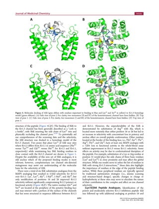 structure of the peptide (Figure 4C,D). The binding of ShK to
the Kv1.3 channel has been generally described as a “cork in
a bottle”, with ShK inserting the side chain of Lys22
into and
physically occluding the channel pore.10,28
To potentially aid
our comprehension of the screening data and the selectivity,
the 122 structure was docked to a homology model of the
Kv1.3 channel. Two poses that place Lys16
of 122 near sites
where Kv1.3 diﬀers from Kv1.1 in amino acid sequence (His451
versus Tyr379
and Gly427
versus His355
for Kv1.3 and Kv1.1,
respectively) while maintaining key ShK binding residues in
close contact with the Kv1.3 channel are shown in Figure 5.
Despite the availability of this new set of ShK analogues, it is
still unclear which of the proposed binding modes is most
relevant; however, complementary ion channel site-directed
mutagenesis may assist our understanding of the molecular
basis for the selectivity of 122.
There were a total of six ShK substitution analogues from the
MAPS analoging that resulted in 5-fold selectivity for Kv1.3
over Kv1.1: Lys7
, Lys16
, Ala23
, 1-Nal26
, 1-Nal27
, and Ala29
, but
only modiﬁcation of positions 16 and 26 improved Kv1.3
selectivity without signiﬁcantly compromising Kv1.3 potency or
functional activity (Figure 4E,F). The native residues Gln16
and
Ser26
are located at the periphery of the putative binding face
and may interact with a portion of the surface of the channels
that has some structural or sequence diﬀerence between Kv1.3
and Kv1.1. However, the unpredictability of the SAR is
demonstrated by substitution of Arg29
with Ala, which is
located more remotely than either position 16 or 26 but led to
an increase in selectivity with concomitant loss in potency and
unclear eﬀect on overall peptide conformation. Other residues
located at the border of the binding face, i.e., Thr6
, Ser10
, Thr13
,
Arg24
, Thr31
, and Gly33
, have at least one MAPS analogue with
a >20× loss in functional activity in the whole-blood assay
without improvement in Kv1.3 versus Kv1.1 selectivity. Some
eﬀects on activity may be due to conformational disruption of
the peptide. For example, substitution of a Lys or Arg residue at
position 31 would place the side chains of three basic residues
(Lys9
and Lys30
) in close proximity and may aﬀect the global
structure. While our results serve to reﬁne the list of residues in
ShK with strong Kv1.3 interactions,20
these data also highlight
the importance of residues at the edge of the peptide binding
surface. While these peripheral residues are typically ignored
by traditional optimization strategies (i.e., alanine scanning
and structure-based design), speciﬁc changes in charge or
hydrophobicity at these sites may serve to elucidate the nature
of their contribution to the complex and eﬀect on ion channel
selectivity.
[Lys16]ShK Peptide Analogues. Identiﬁcation of the
potent and moderately selective Kv1.3 inhibitory peptide 122
was followed up with additional analoging at position 16 and
Figure 5. Molecular docking of 122 (gray ribbon with residues important to binding in blue and Lys16
and Ser26
in yellow) to Kv1.3 homology
model (green ribbons). (A) Side view of pose I. For clarity, two monomers (II and IV) of the homotetrameric channel have been hidden. (B) Top
view of pose 1. (C) Side view of pose 2. For clarity, two monomers (I and III) of the homotetrameric channel have been hidden. (D) Top view of
pose 2.
Journal of Medicinal Chemistry Article
DOI: 10.1021/acs.jmedchem.5b00495
J. Med. Chem. 2015, 58, 6784−6802
6791
 
