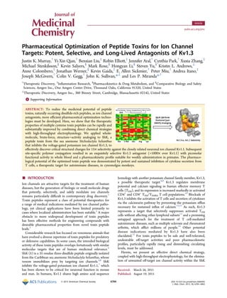 Pharmaceutical Optimization of Peptide Toxins for Ion Channel
Targets: Potent, Selective, and Long-Lived Antagonists of Kv1.3
Justin K. Murray,†
Yi-Xin Qian,†
Benxian Liu,‡
Robin Elliott,‡
Jennifer Aral,†
Cynthia Park,†
Xuxia Zhang,‡
Michael Stenkilsson,§
Kevin Salyers,§
Mark Rose,§
Hongyan Li,§
Steven Yu,§
Kristin L. Andrews,⊥
Anne Colombero,‡
Jonathan Werner,∥
Kevin Gaida,‡
E. Allen Sickmier,†
Peter Miu,†
Andrea Itano,‡
Joseph McGivern,†
Colin V. Gegg,†
John K. Sullivan,*,‡
and Les P. Miranda*,†
†
Therapeutic Discovery, ‡
Inﬂammation Research, §
Pharmacokinetics & Drug Metabolism, and ∥
Comparative Biology and Safety
Sciences, Amgen Inc., One Amgen Center Drive, Thousand Oaks, California 91320, United States
⊥
Therapeutic Discovery, Amgen Inc., 360 Binney Street, Cambridge, Massachusetts 02142, United States
*S Supporting Information
ABSTRACT: To realize the medicinal potential of peptide
toxins, naturally occurring disulﬁde-rich peptides, as ion channel
antagonists, more eﬃcient pharmaceutical optimization techno-
logies must be developed. Here, we show that the therapeutic
properties of multiple cysteine toxin peptides can be rapidly and
substantially improved by combining direct chemical strategies
with high-throughput electrophysiology. We applied whole-
molecule, brute-force, structure−activity analoging to ShK, a
peptide toxin from the sea anemone Stichodactyla helianthus
that inhibits the voltage-gated potassium ion channel Kv1.3, to
eﬀectively discover critical structural changes for 15× selectivity against the closely related neuronal ion channel Kv1.1. Subsequent
site-speciﬁc polymer conjugation resulted in an exquisitely selective Kv1.3 antagonist (>1000× over Kv1.1) with picomolar
functional activity in whole blood and a pharmacokinetic proﬁle suitable for weekly administration in primates. The pharmaco-
logical potential of the optimized toxin peptide was demonstrated by potent and sustained inhibition of cytokine secretion from
T cells, a therapeutic target for autoimmune diseases, in cynomolgus monkeys.
■ INTRODUCTION
Ion channels are attractive targets for the treatment of human
diseases, but the generation of biologic or small molecule drugs
that potently, selectively, and safely modulate ion channels
remains particularly diﬃcult in contemporary drug discovery.1
Toxin peptides represent a class of potential therapeutics for
a range of medical indications mediated by ion channel patho-
logy, yet clinical applications have been limited primarily to
cases where localized administration has been suitable.2
A major
obstacle to more widespread development of toxin peptides
has been eﬀective methods for engineering compounds with
desirable pharmaceutical properties from novel toxin peptide
leads.3
Considerable research has focused on venomous animals that
have evolved a diverse repertoire of toxin peptides for predatory
or defensive capabilities. In some cases, the intended biological
activity of these toxin peptides overlaps fortuitously with similar
molecular targets that are of human medicinal relevance.4
ShK (1) is a 35 residue three-disulﬁde peptide originally isolated
from the Caribbean sea anemone Stichodactyla helianthus, whose
venom immobilizes prey by targeting ion channels.5,6
ShK
inhibits the voltage-gated potassium ion channel Kv1.1,7
which
has been shown to be critical for neuronal function in mouse
and man. In humans, Kv1.1 shares high amino acid sequence
homology with another potassium channel family member, Kv1.3,
a possible therapeutic target.8,9
Kv1.3 regulates membrane
potential and calcium signaling in human eﬀector memory T
cells (TEM), and its expression is increased markedly in activated
CD4+
and CD8+
TEM/TEMRA T cell populations.10
Blockade of
Kv1.3 inhibits the activation of T cells and secretion of cytokines
via the calcineurin pathway by preventing the potassium eﬄux
necessary for sustained inﬂux of calcium.11,12
As such, Kv1.3
represents a target that selectively suppresses activated TEM
cells without aﬀecting other lymphoid subsets13
and a promising
untapped approach for the treatment of T cell-mediated
autoimmune diseases, such as multiple sclerosis and rheumatoid
arthritis, which aﬄict millions of people.14
Other potential
disease indications mediated by Kv1.3 have also been
elucidated.15
For toxin peptides to be safe and well-tolerated,
undesirable oﬀ-target activities and poor pharmacokinetic
proﬁles, particularly rapidly rising and diminishing circulating
levels, must be addressed.
Herein, we present an eﬀective direct chemical strategy,
coupled with high-throughput electrophysiology, for the elimina-
tion of unwanted oﬀ-target ion channel activity within the ShK
Received: March 26, 2015
Published: August 19, 2015
Article
pubs.acs.org/jmc
© 2015 American Chemical Society 6784 DOI: 10.1021/acs.jmedchem.5b00495
J. Med. Chem. 2015, 58, 6784−6802
 
