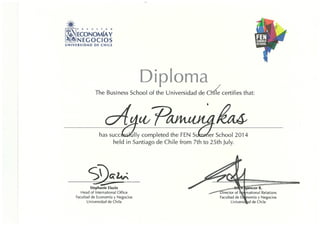 FEN Chile Diploma